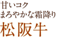 甘いコクまろやかな霜降り 松阪牛