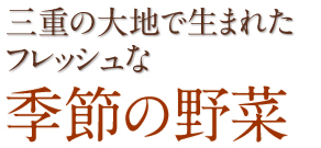 三重の大地で生まれたフレッシュな季節の野菜