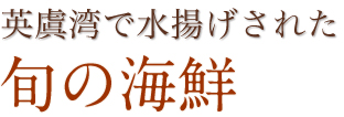 英虞湾で水揚げされた 旬の海鮮
